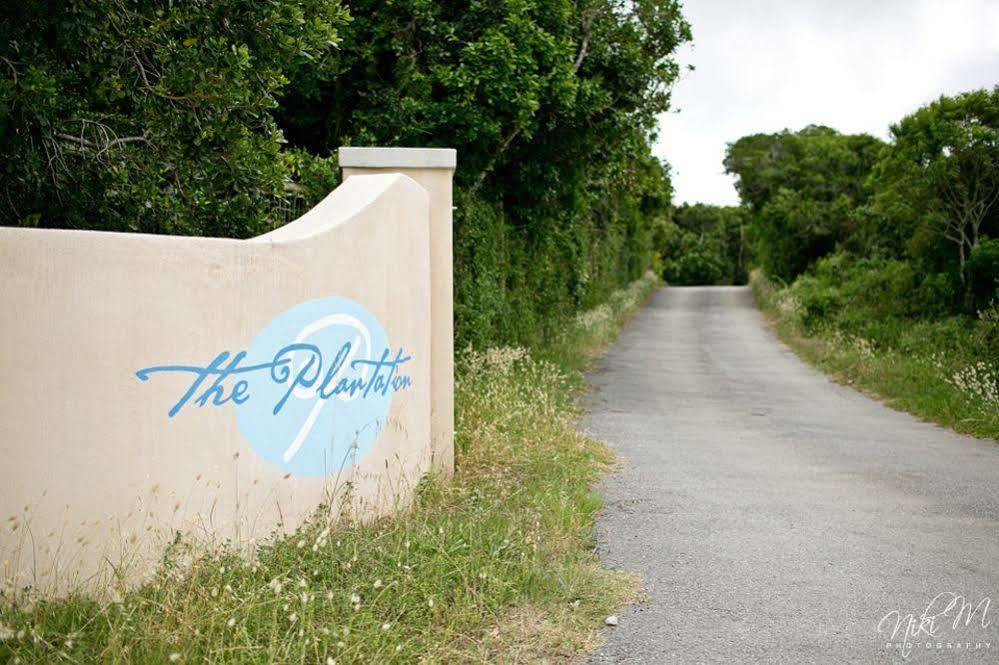 포트엘리자베스 The Plantation B&B 외부 사진